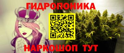 Альфа ПВП Канаш