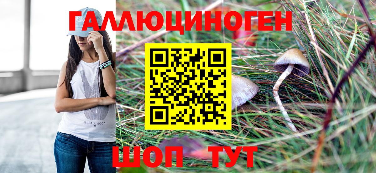 Кудымкар  Галлюциногенные грибы ЛСД  Вход с VPN  Псилоцибиновые грибы MAGIC MUSHROOMS 